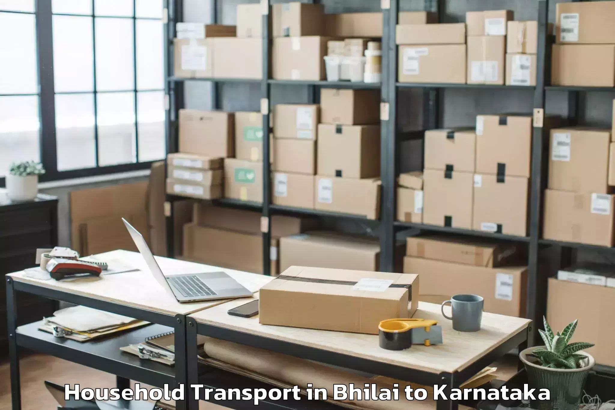 Top Bhilai to Holalu Household Transport Available